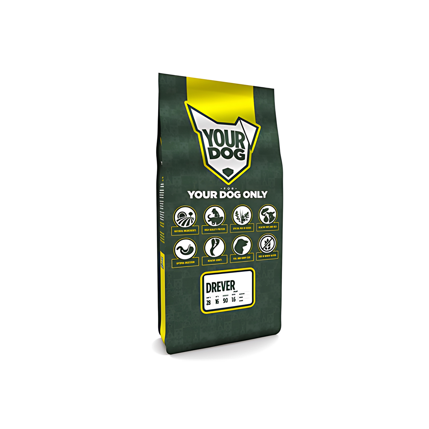 Yourdog Drever Pup