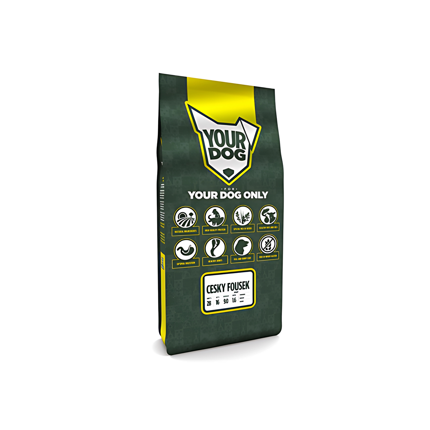 Yourdog Cesky Fousek Pup