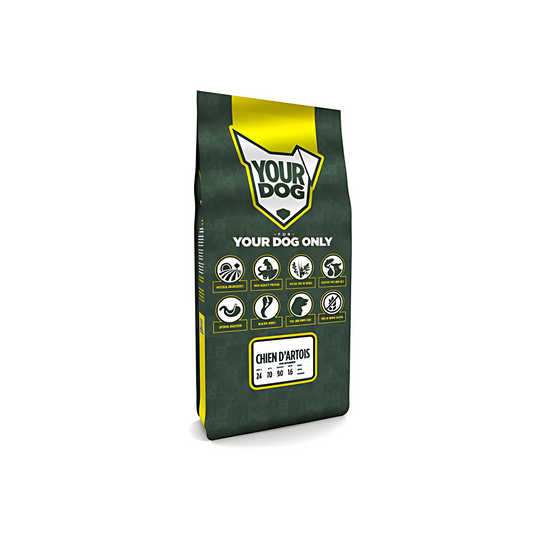 Yourdog Chien D'artois Volwassen