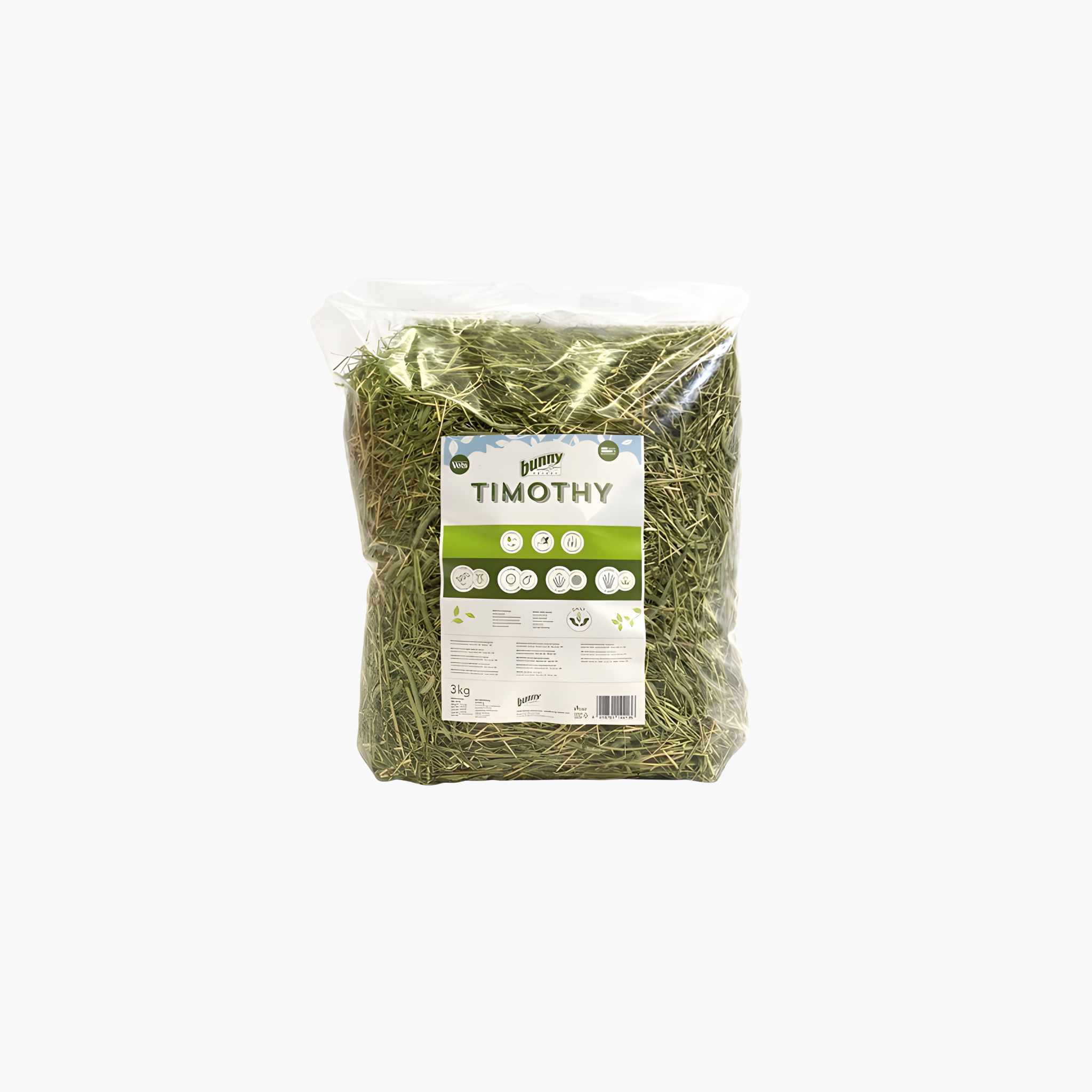 Bunny Nature Timothy Hooi