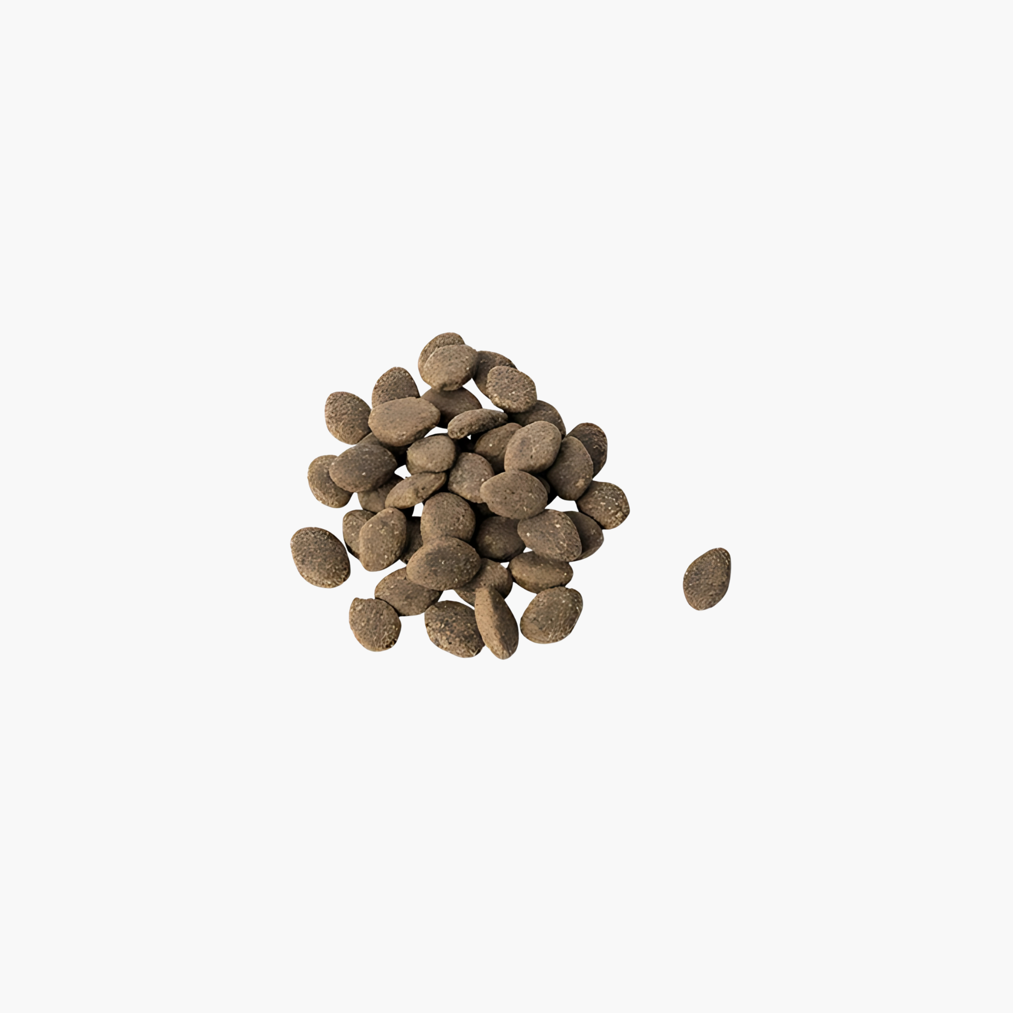 Renske Super Premium Adult Lamb Grain Free Hypoallergenic