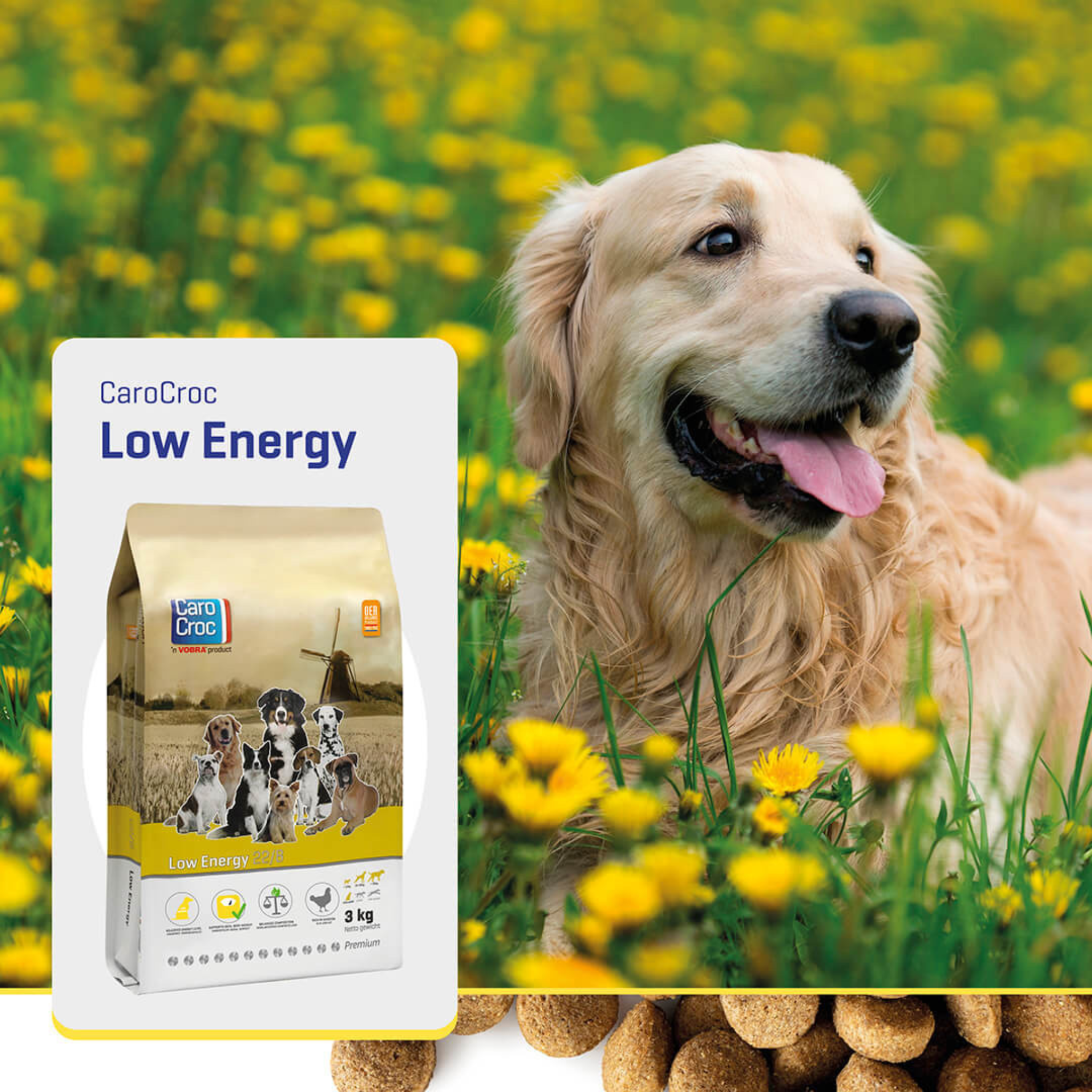 Carocroc Low Energy 22/8