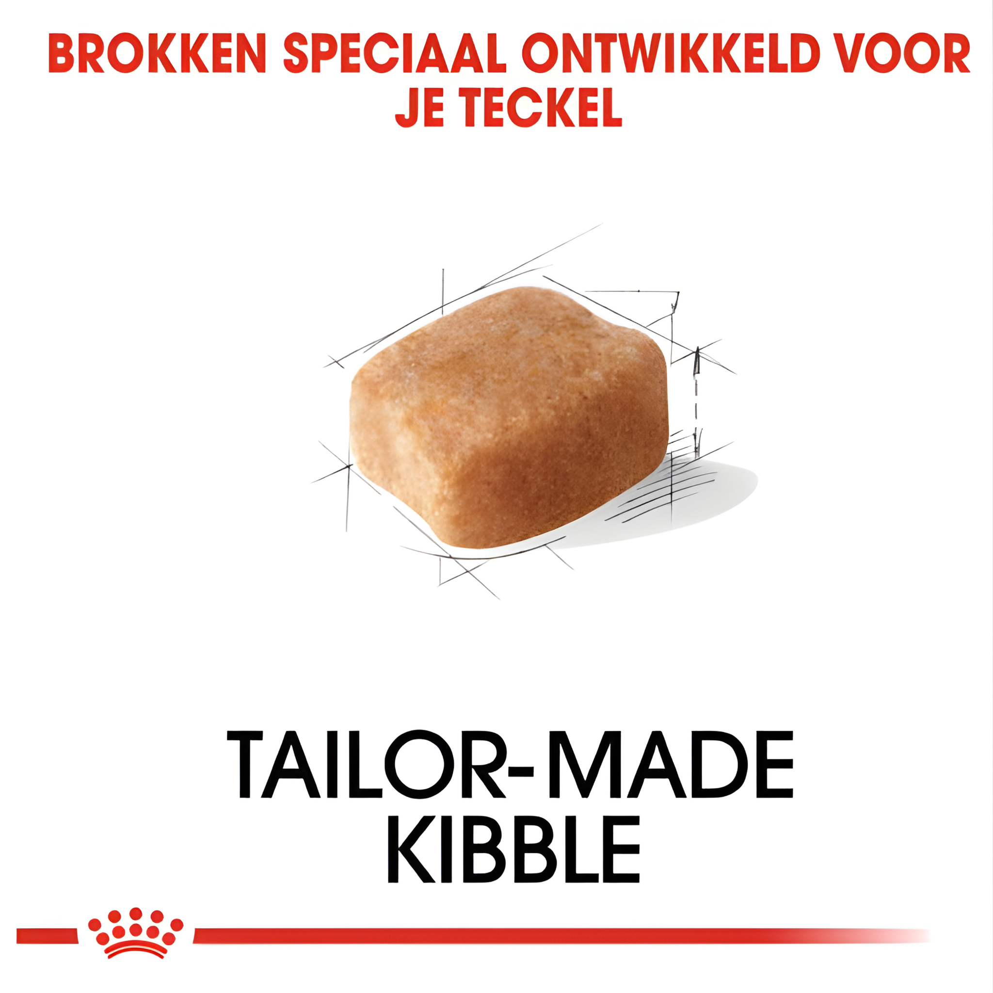 Royal Canin Dachshund / Teckel Adult