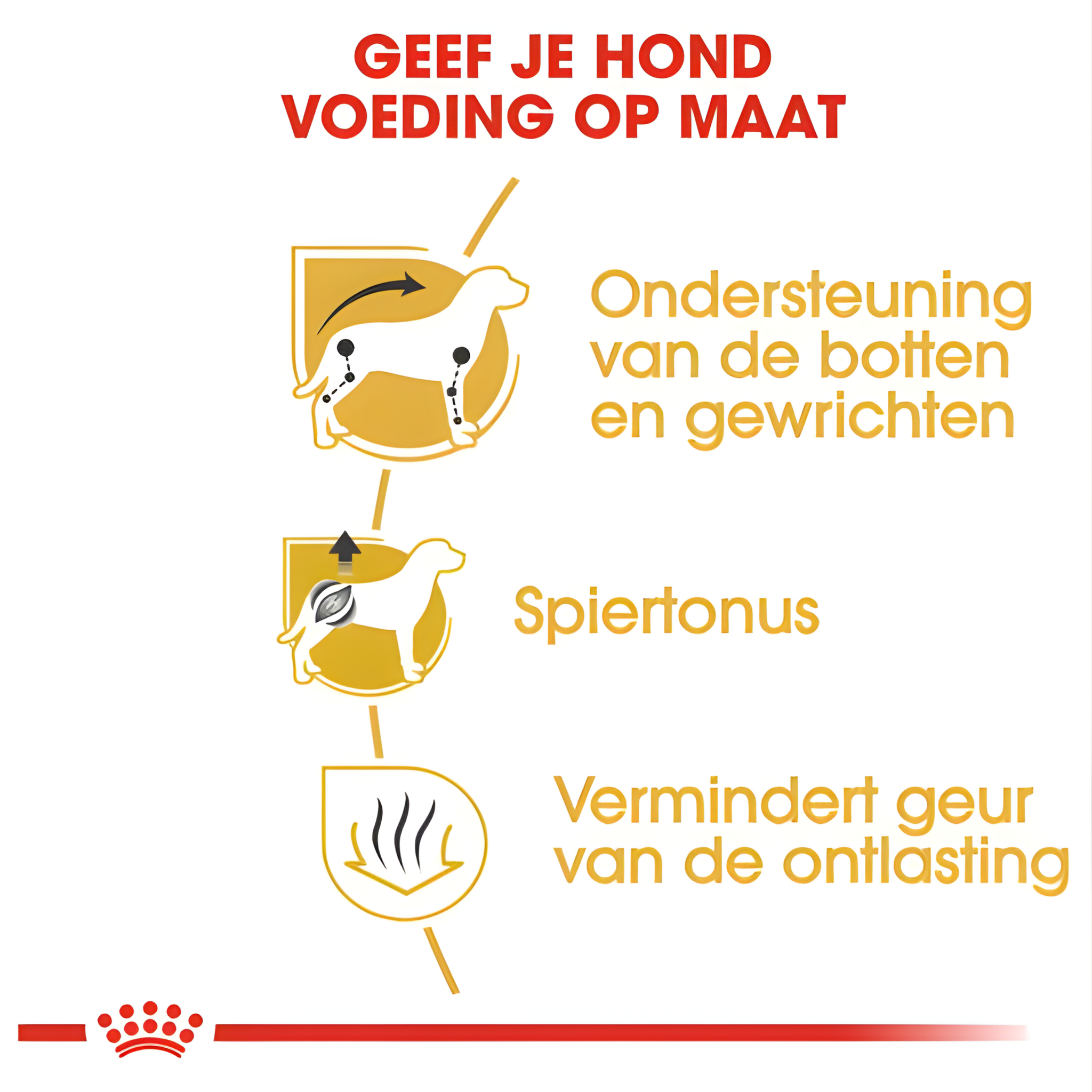 Royal Canin Dachshund / Teckel Adult