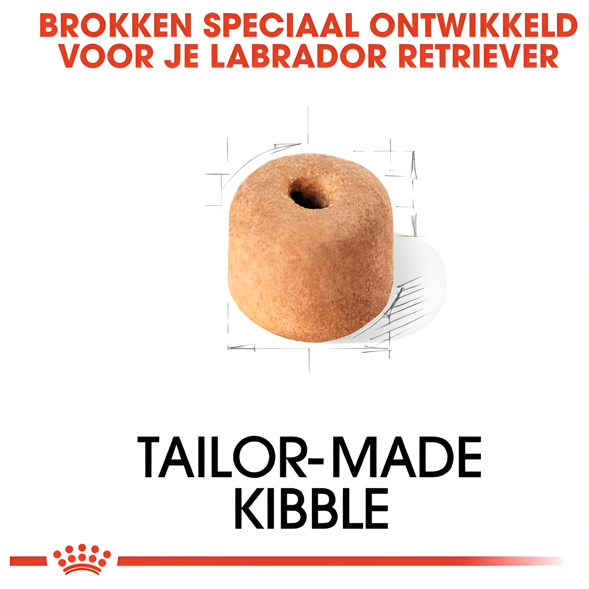 Royal Canin Labrador Retriever Adult