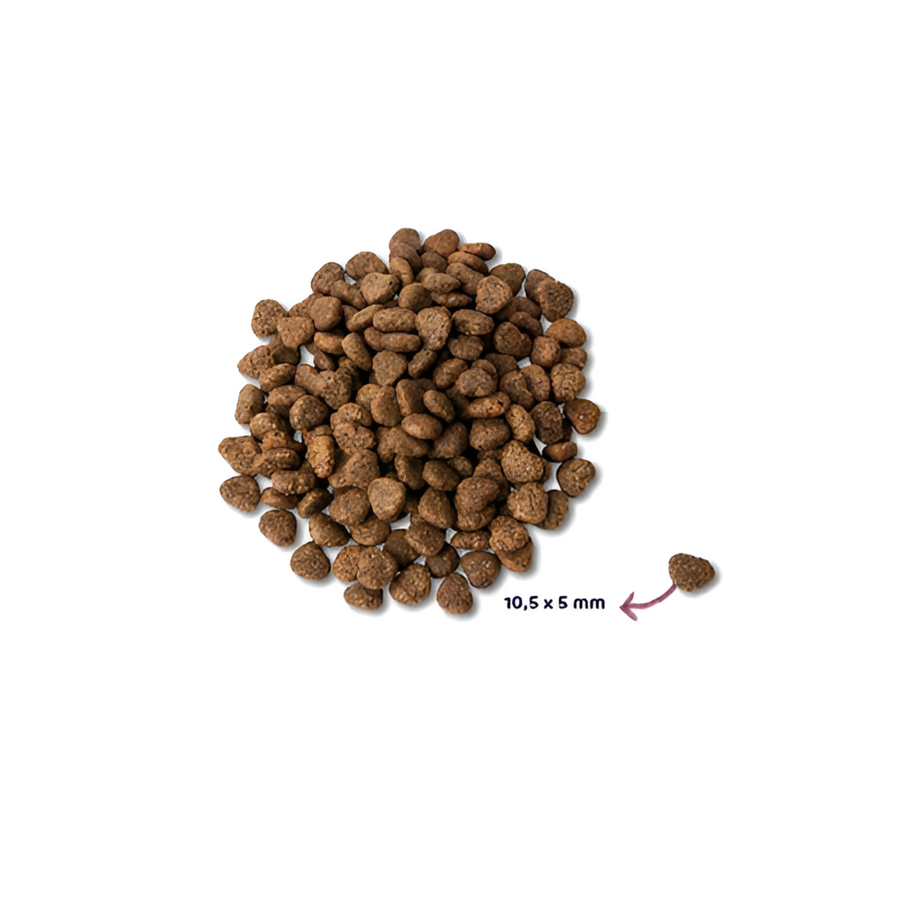Renske Super Premium Adult Kip Graanvrij Hypoallergeen