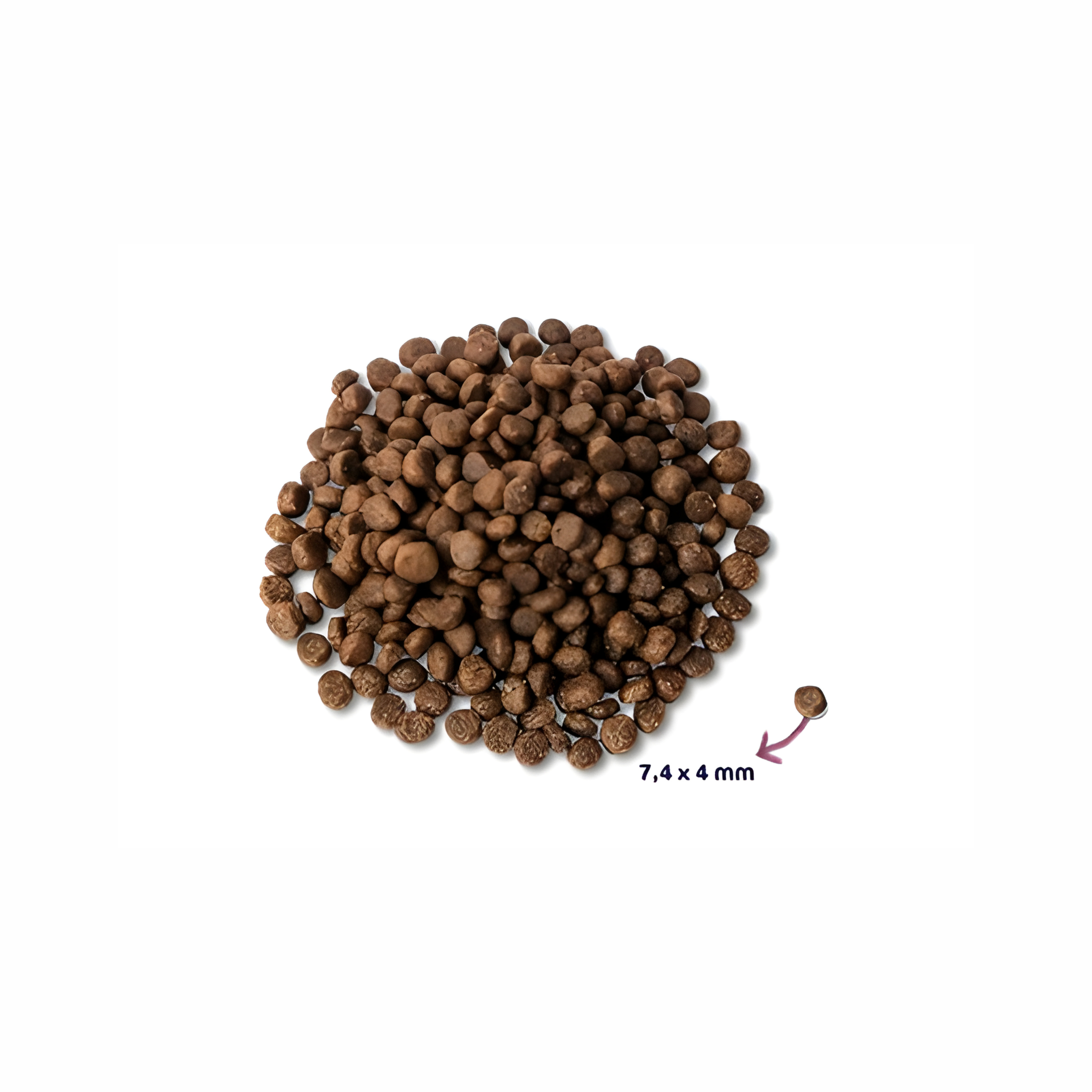 Renske Super Premium Puppy Kip / Lam