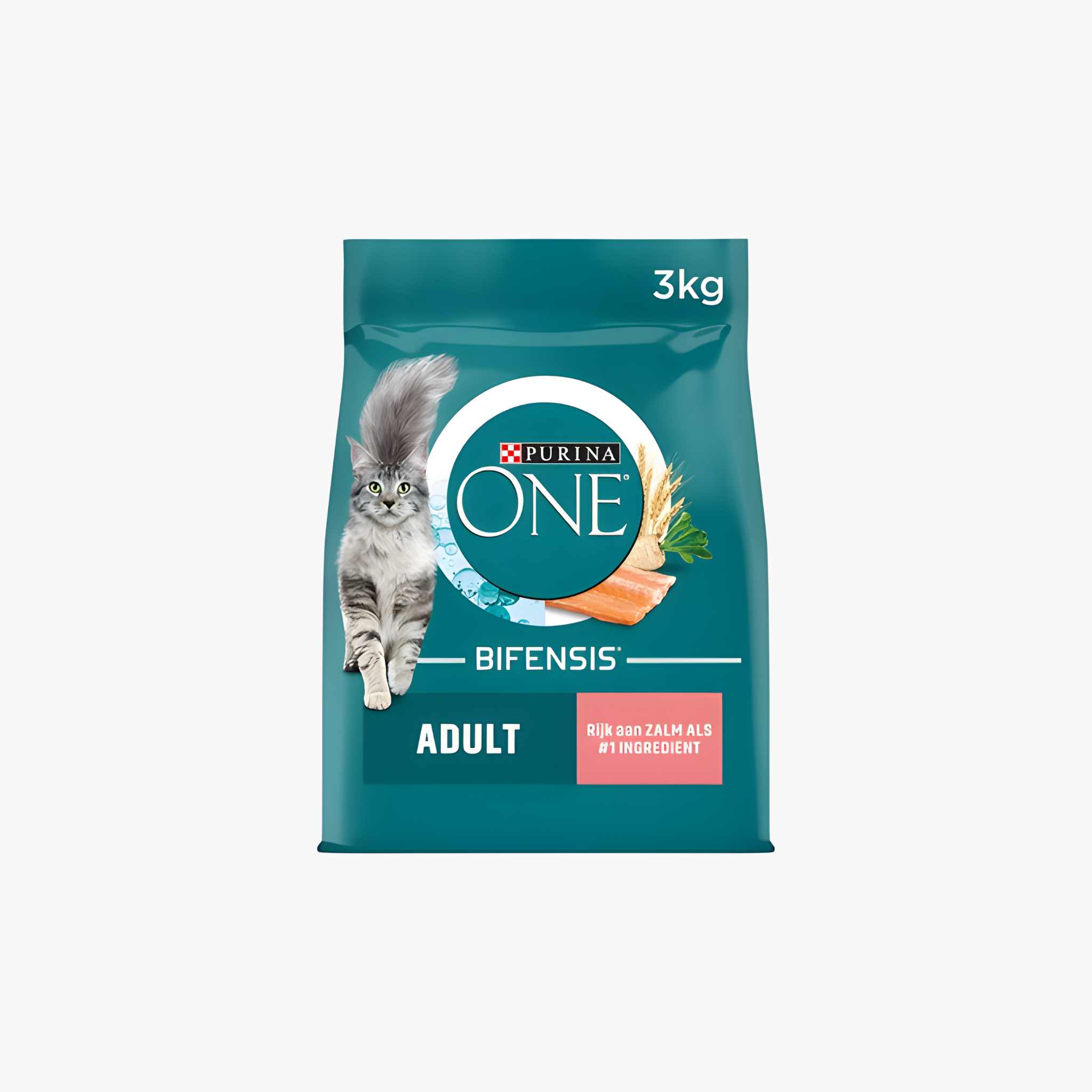 One Purina One Adult Zalm / Volkoren Granen