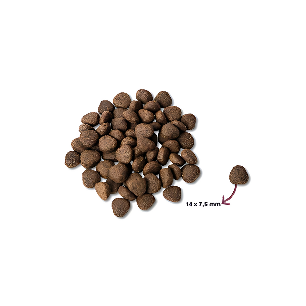 Renske Super Premium Adult Zalm Graanvrij Hypoallergeen