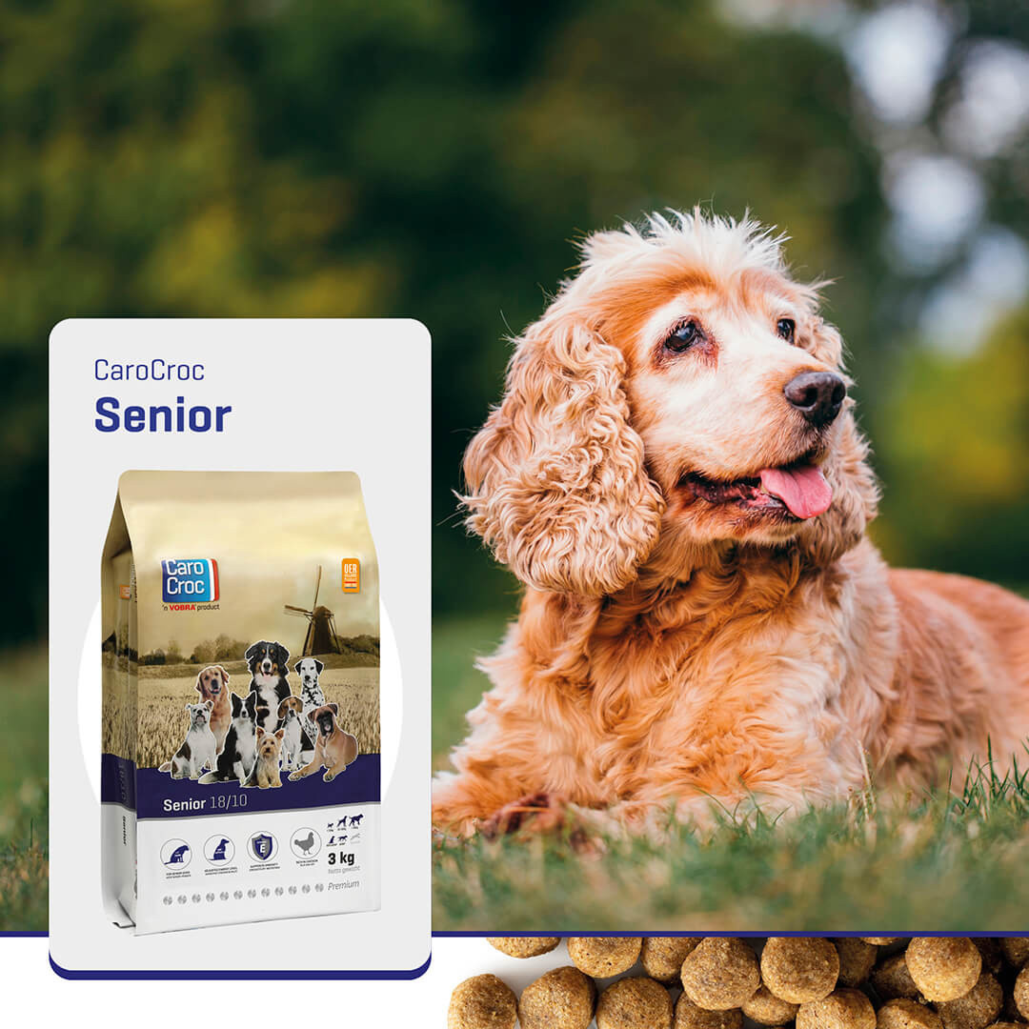 Carocroc Senior Silver 18/10