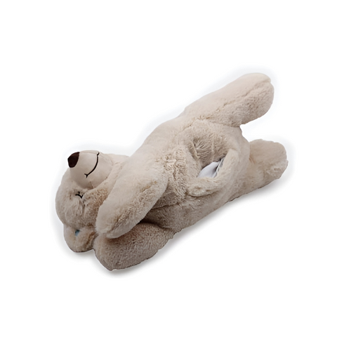 Afp Little Buddy Warm Bear